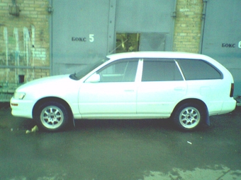 1999 Toyota Corolla Wagon