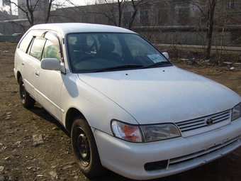 1999 Toyota Corolla Wagon