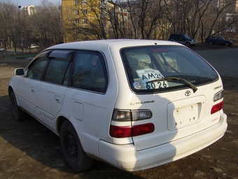Corolla Wagon
