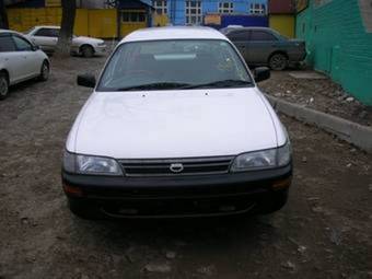 1999 Toyota Corolla Wagon