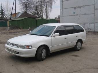 Corolla Wagon