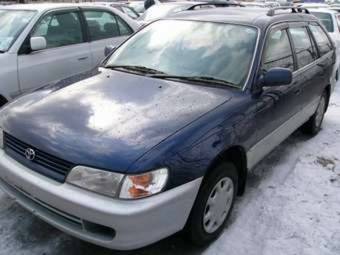 1999 Toyota Corolla Wagon