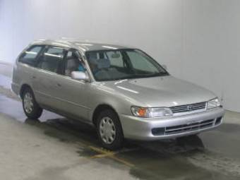 1999 Toyota Corolla Wagon