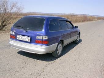 Toyota Corolla Wagon