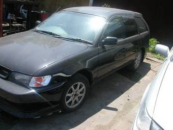 1999 Toyota Corolla Wagon