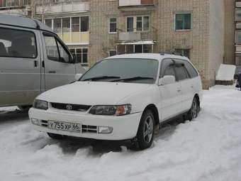 1999 Toyota Corolla Wagon