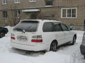 Corolla Wagon