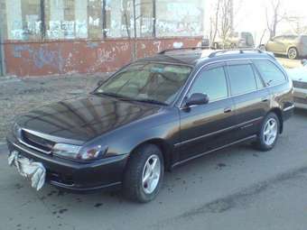 Toyota Corolla Wagon