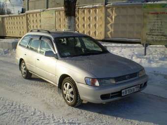 Toyota Corolla Wagon