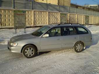 Toyota Corolla Wagon