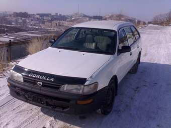 1999 Toyota Corolla Wagon