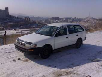 Corolla Wagon