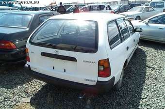 Corolla Wagon