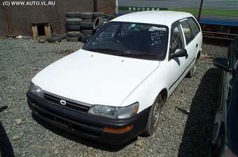 Toyota Corolla Wagon