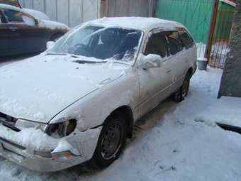 Toyota Corolla Wagon