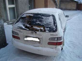 Toyota Corolla Wagon
