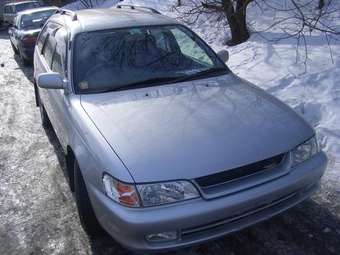 Corolla Wagon