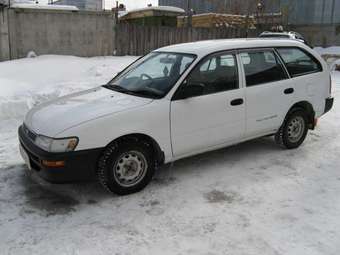 1999 Toyota Corolla Wagon