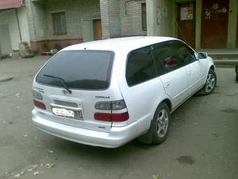 1999 Corolla Wagon