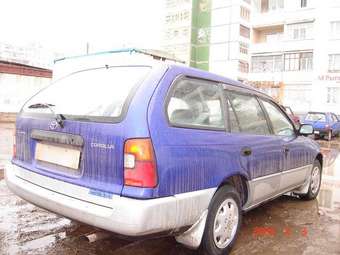 Corolla Wagon