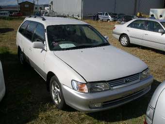 1999 Toyota Corolla Wagon