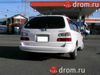 Corolla Wagon