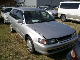 1999 Toyota Corolla Wagon