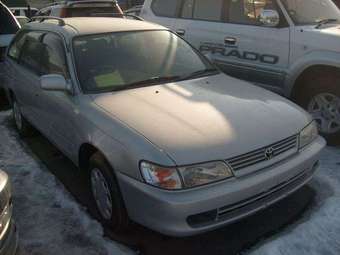 1999 Toyota Corolla Wagon