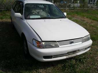 1999 Toyota Corolla Wagon