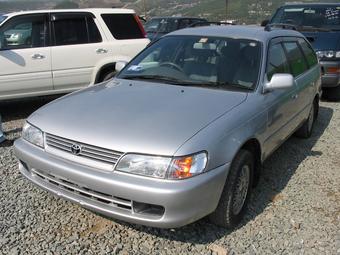 1999 Toyota Corolla Wagon
