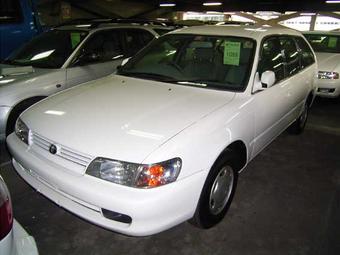 1999 Toyota Corolla Wagon