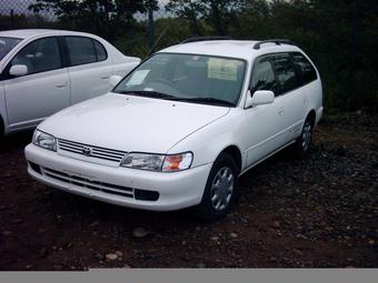 1999 Toyota Corolla Wagon