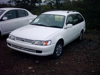 1999 Toyota Corolla Wagon
