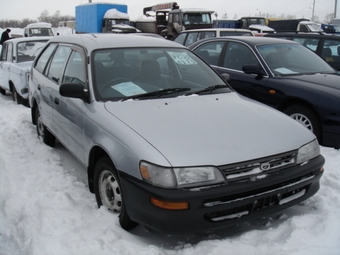 1999 Toyota Corolla Wagon