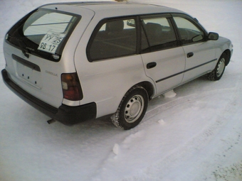 Corolla Wagon