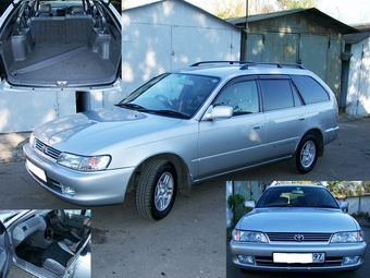 Corolla Wagon