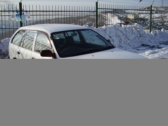 2000 Toyota Corolla Wagon