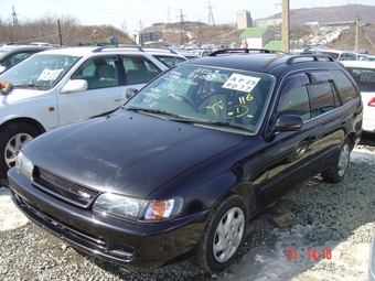 Corolla Wagon