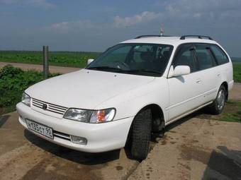 2000 Toyota Corolla Wagon