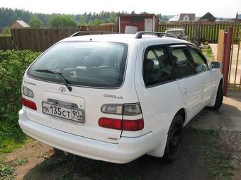 Corolla Wagon