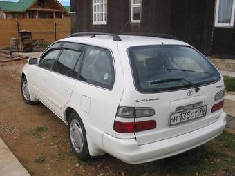 Toyota Corolla Wagon