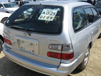 Toyota Corolla Wagon