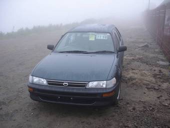 2000 Corolla Wagon