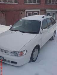 Toyota Corolla Wagon