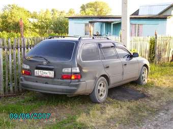 Corolla Wagon