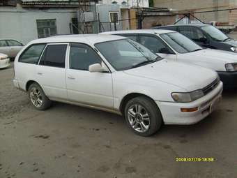 2000 Toyota Corolla Wagon