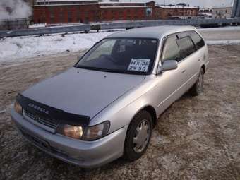 2000 Toyota Corolla Wagon