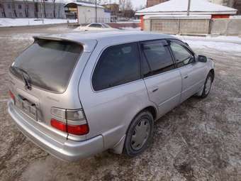 Toyota Corolla Wagon