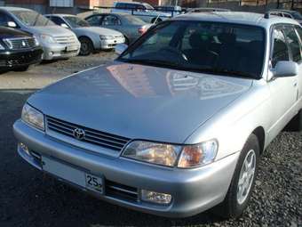 Toyota Corolla Wagon