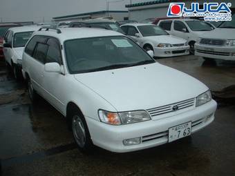 2000 Toyota Corolla Wagon Pictures